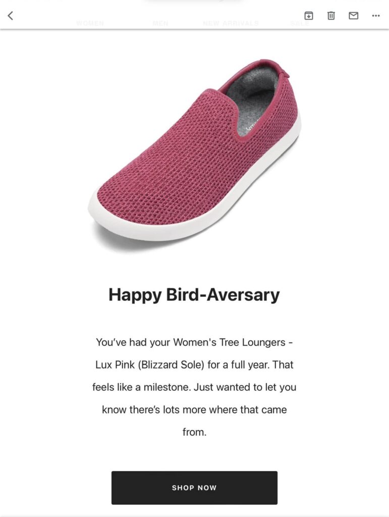 allbirds anniversary email